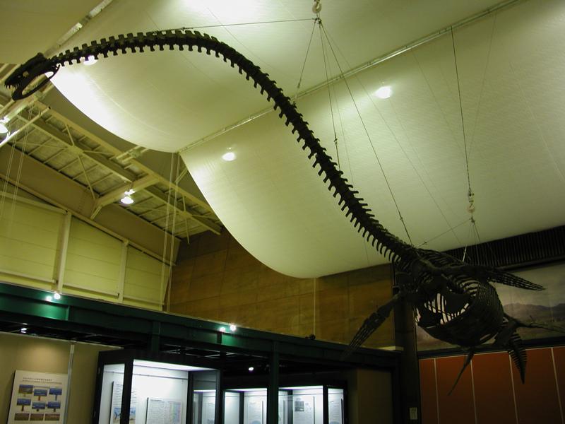 th_P1010017.jpg