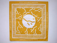 bandannayellow.JPG