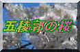 �ܗŊs�̍�