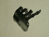 hanga12.jpg