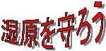 ��������낤