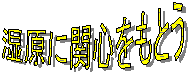 �����Ɋ֐S�����Ƃ�