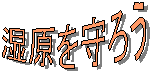 ��������낤