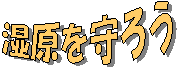 ��������낤