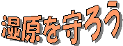 ��������낤