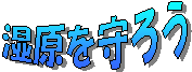 ��������낤