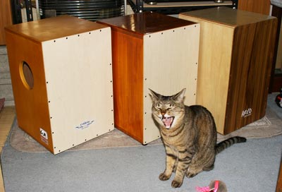 自作カホン！ カホン手作りキット】PANDAカホン手作りキット（M） | 手作り